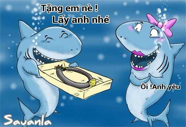 Nguyên nhân cá mập... cắn cáp