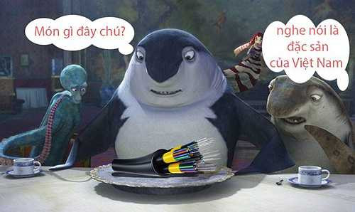 Cáp quang biển , món ăn ưa thích của cá mập