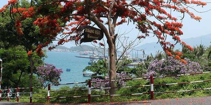 Năm tòa biệt thự được xây dựng theo kiến trúc của Pháp trong khuôn viên rộng 12 ha, ẩn mình dưới những tán cây bàng tỏa bóng mát quanh năm. Vào mùa hè, có các loài hoa đua nhau khoe sắc, đặc biệt là phượng vĩ. Từ Lầu Bảo Đại, du khách cũng có thể thả tầm nhìn ra xa, ngắm thành phố biển Nha Trang với những cảnh quan tuyệt đẹp.