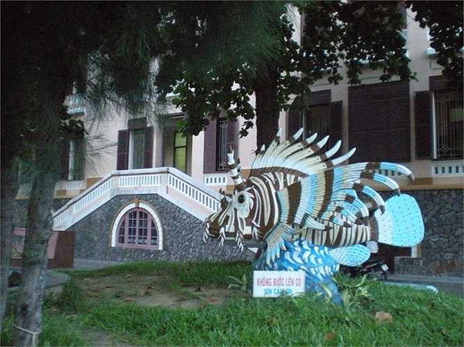 5. Viện Hải dương học Nha Trang: là nơi lưu giữ rất nhiều loài sinh vật biển kỳ lạ, được thành lập vào năm 1923 và nằm tại số 1 Cầu Đá, cách trung tâm thành phố Nha Trang khoảng 6km về phía Đông Nam. 