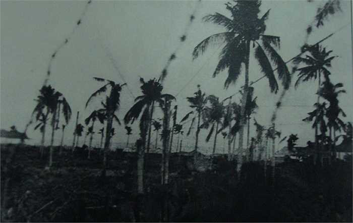 Nhà tù Phú Quốc còn có tên là nhà lao Cây Dừa. Nhà tù gần như chẳng còn gì. Mọi thứ hầu như đều là phục dựng lại. Thế nhưng, những vật chứng, hình nộm mô tả cảnh tra tấn các chí sĩ yêu nước, cũng đủ làm bất cứ ai phải rùng mình sợ hãi. 