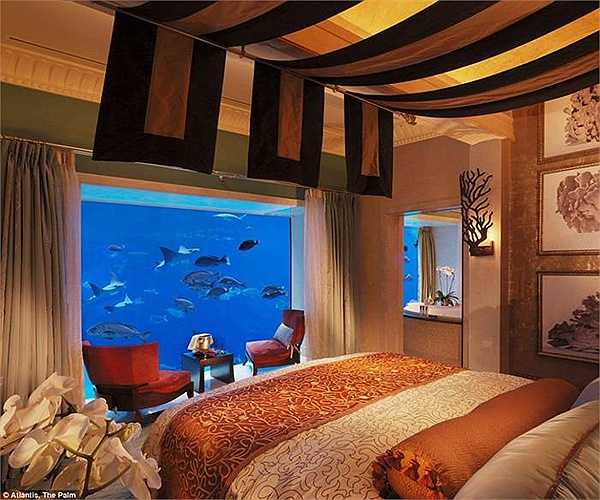 View phòng ngủ đẹp với khung cảnh đại duơng ấn tượng bên ngoài
