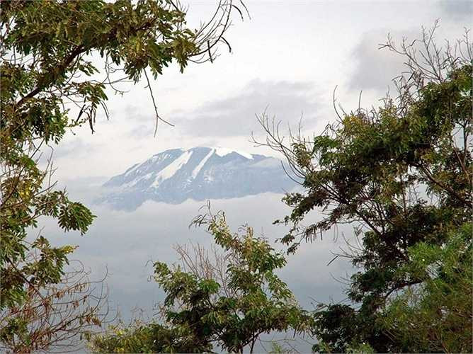 Tuyết đẹp như tranh vẽ phủ trên núi Kilimanjaro ở Tanzania có lẽ không còn tồn tại lâu. Từ những năm 1912 đến năm 2007, lượng tuyết trên núi Kilimanjaro đã bị hao đi tới 85%.
