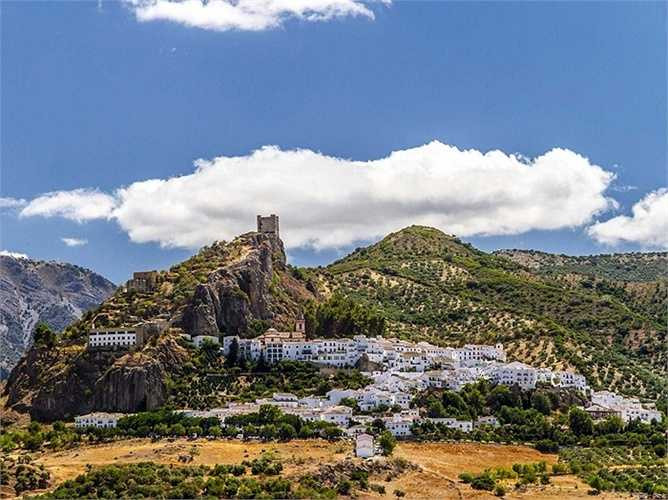 Động vật hoang dã và cây xanh tại Zahara de la Sierra, một nơi nằm ẩn mình trong dãy núi Andalusia ở miền nam Tây Ban Nha đang chết dần chết mòn vì sự nóng lên của Trái đất và hạn hán thường xuyên xảy ra trong những năm gần đây.