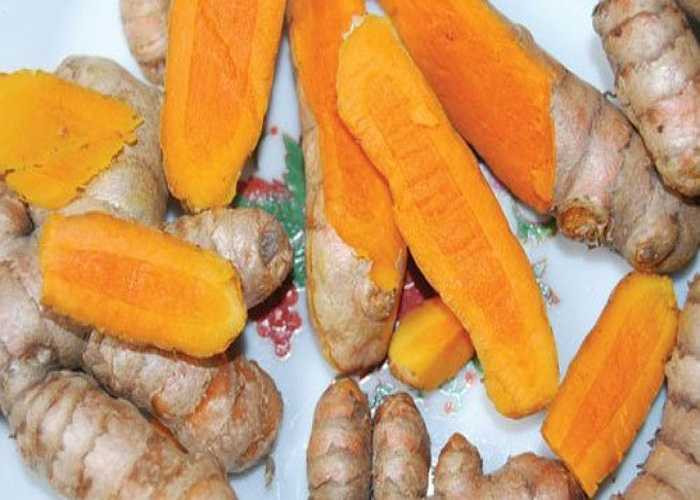 Nghệ vàng: nghệ vàng có tính bình, vị cay đắng, tác dụng hoạt huyết, làm tan máu, giảm đau, trị mụn nhọt, sưng viêm. Dùng bột nghệ vàng trộn lẫn mật ong thành một hỗn hợp sền sệt, sau đó bôi lên nốt nhiệt cũng có tác dụng rất nhanh.