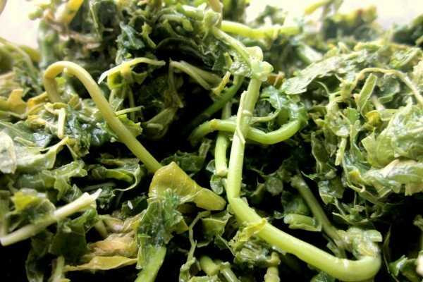 Món ngon Phú Thọ phải thử khi đi hội Đền Hùng