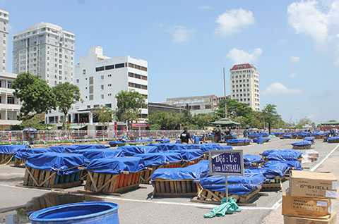 DIFC 2015, Pháo hoa quốc tế, Đà Nẵng, bản giao hưởng, sắc màu