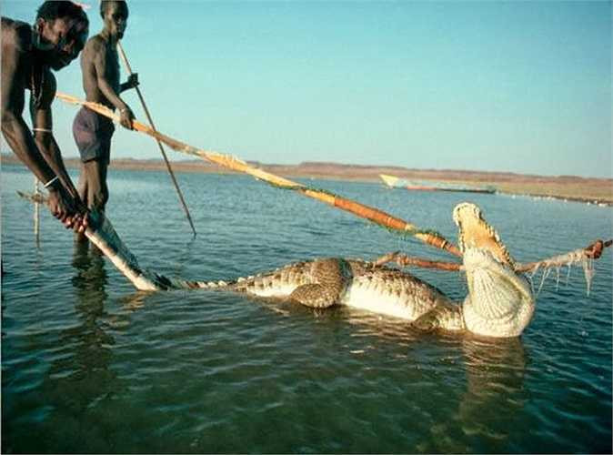 Bộ tộc này sống ở phía bắc Kenya của Châu Phi. Đây là vùng đất vô cùng nóng nực, khi nhiệt độ thường xuyên ở ngưỡng 45-50 độ C.