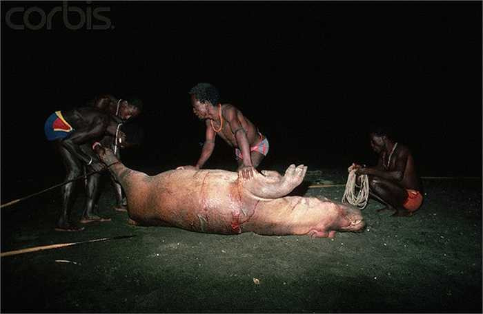 Mặc dù là bộ tộc nhỏ bé, song họ vô cùng dũng cảm, bởi thứ họ săn lùng để kiếm ăn là cá sấu và hà mã, là hai loài vật cực kỳ hung dữ.