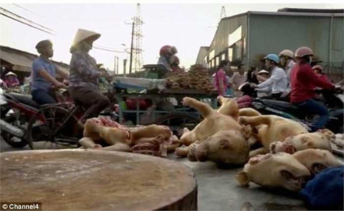 Thịt chó được bày bán tràn lan