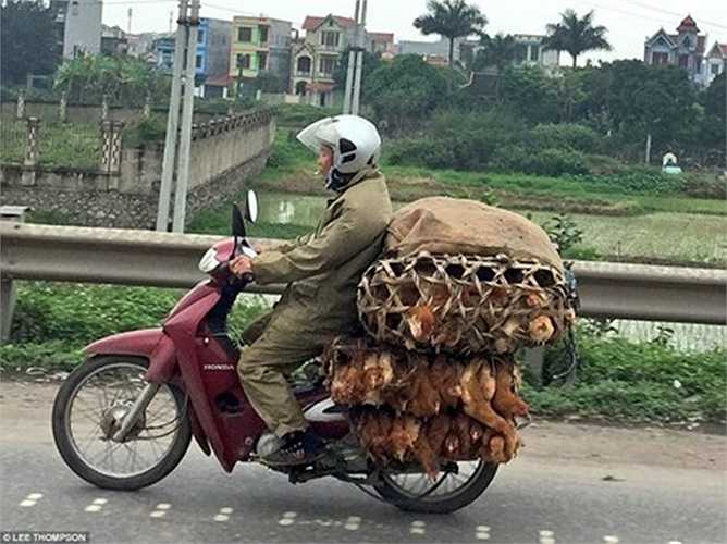 Nhiếp ảnh gia người Anh Lee Thompson đã ghi lại những hình ảnh ấn tượng về phương tiện xe máy tại Việt Nam