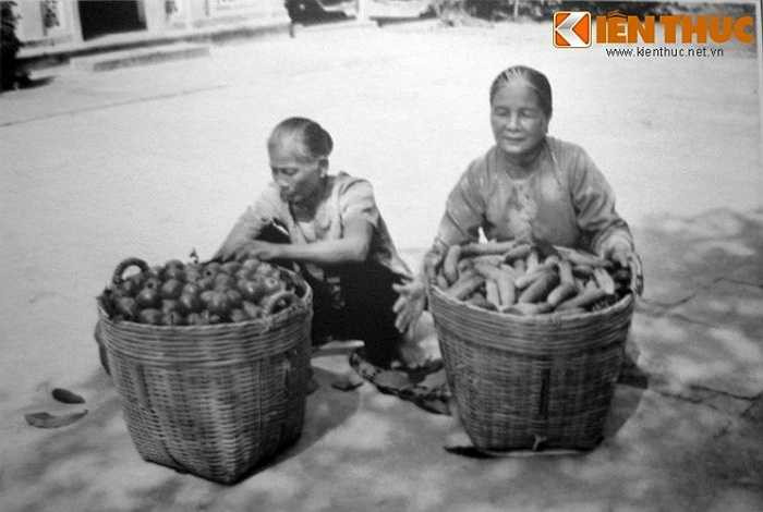 Vũ khí được giấu dưới đáy cần xé cà chua, dưa leo. 