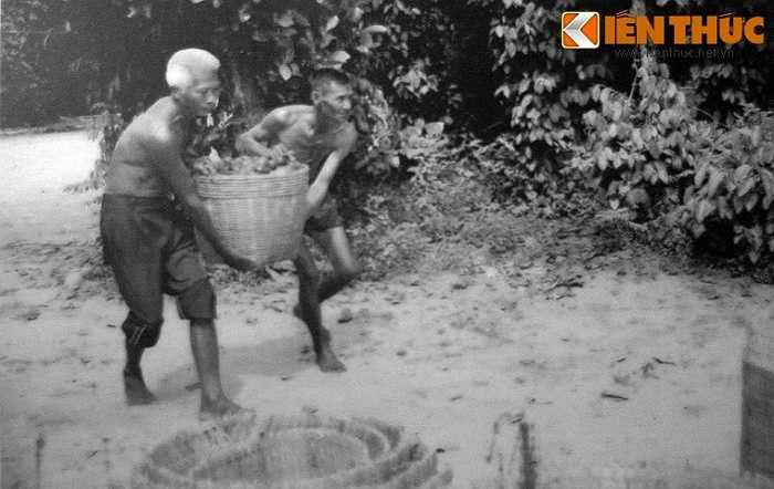 Vận chuyển vũ khí ngụy trang trong cần xé. 