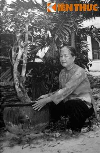 Các chậu mai cũng được dùng để giấu vũ khí.