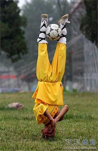 Tiểu Hàn (Tổng hợp)