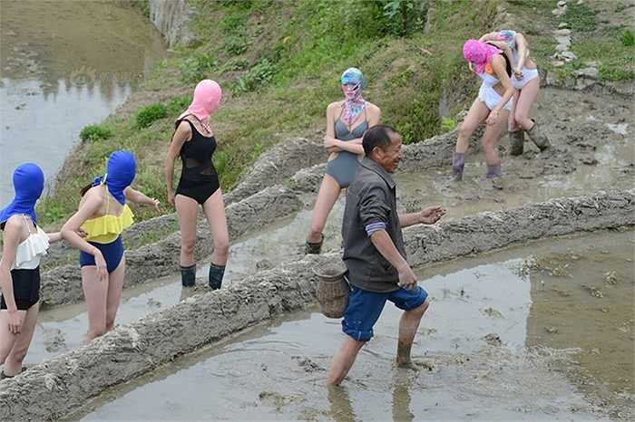 8 người mẫu tham dự sẽ cùng nông dân xuống ruộng