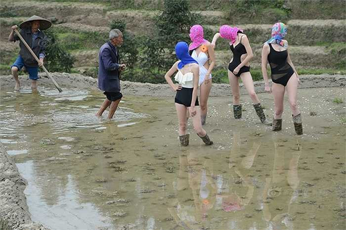 Những thửa ruộng bậc thang bỗng có thêm nhiều sắc màu nhờ những người mẫu bikini