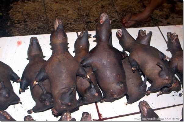 Rùng mình với những món đặc sản châu Á