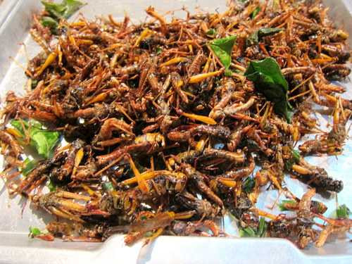 Rùng mình với những món đặc sản châu Á