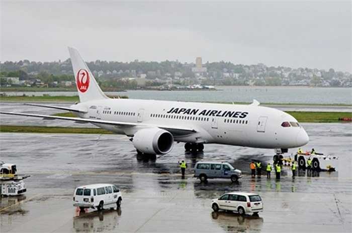 Nguyên nhân lỗi phần mềm này là do hệ thống phát điện của Dreamliner sẽ bị ngắt sau mỗi 248 ngày (tương đương 8 tháng) hoạt động, Sau nhiều ngày sử dụng nguồn điện liên tục, tất cả hệ thống điều khiển của 4 máy phát điện chính trong máy bay đều ngừng hoạt động cùng lúc. Và nếu điều này xảy ra trong lúc cất cánh hay hạ cánh thì sẽ là một thảm họa. 