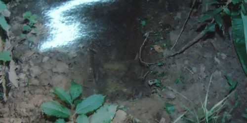 Hành trình truy tìm kẻ thủ ác lột da mặt nạn nhân