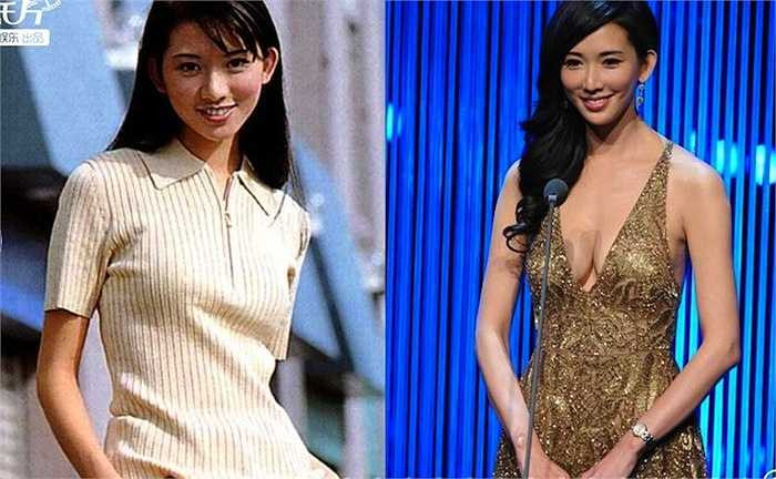 Năm 2004 khi Lâm Chí Linh bắt đầu tham gia làng giải trí, truyền thông xứ Đài đều nhắc đến tên tuổi cô dù cô không tham gia diễn xuất, không ca hát và tuổi tác cũng không còn quá trẻ, thế nhưng chân dài này lại vô cùng nổi tiếng. Lâm Chí Linh chỉ được biết đến là một người mẫu, cô tham gia quảng cáo, rồi làm MC, đóng phim... và ở lĩnh vực nào cô cùng giành được sự chú ý bởi ngoài khả năng còn có sự thu hút ở sắc vóc khó cưỡng toát ra từ người đẹp này. 