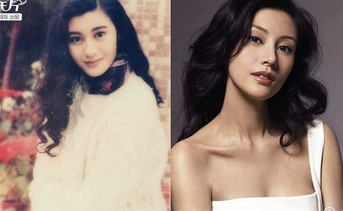 Những năm 2000, Cbiz không còn đặt nặng vấn đề sắc đẹp gắn liền với diễn xuất, hai khái niệm tách rời nhau và những người đẹp đó được ví như những 'bình hoa di động'. Lý Gia Hân là một trong số đó, cho dù những bộ phim nổi tiếng cô từng tham gia như Lộc đỉnh ký, Phương Thê Ngọc... nhưng tựu chung chỉ mang ý nghĩa 'trang trí'. 