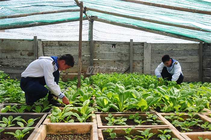 Các chiến sỹ tăng gia sau giờ làm nhiệm vụ