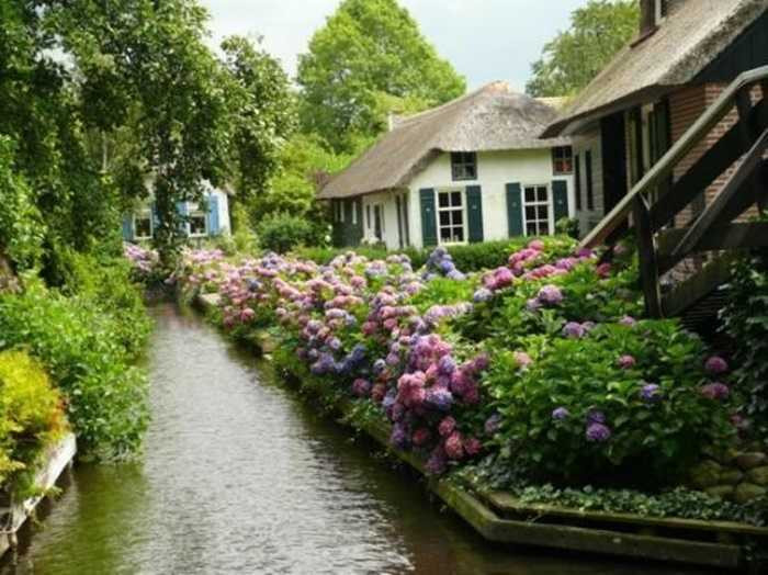 Đến Giethoorn, du khách nên thuê một ngôi nhà để trải nghiệm 