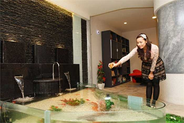 Lã Thanh Huyền đang cho đàn cá cảnh ăn, đây là cách người đẹp có giây phút thư giãn sau ngày làm việc bận rộn.