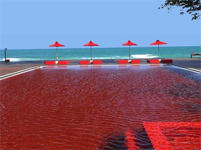 Hô bơi Library ở Thái Lan có một hồ bơi tự hào với thiết kế độc đáo bằng gạch màu đỏ của máu, tạo ra một hiệu ứng mát mẻ mà độc đáo tương phản với màu xanh của bãi biển liền kề.