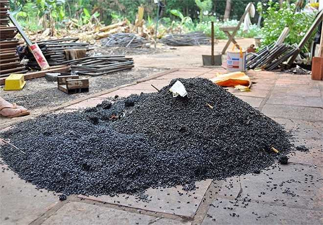Mỗi ngày, gia đình bà Thêu gom hàng trăm kg bọ đậu đen đi thiêu hủy. 'Nhưng gom xong thì ngày mai lại xuất hiện dày đặc trở lại. Hiện vợ chồng tôi đã chuyển hết đồ đạc ra vườn ở', bà Thêu nói.