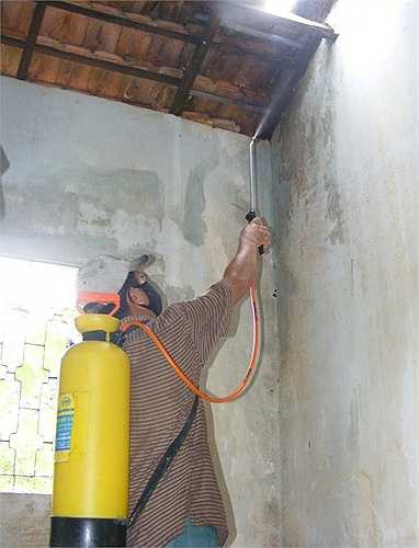 Một số hộ dân sử dụng thuốc trừ sâu có độc tố cao để tiêu diệt bọ.