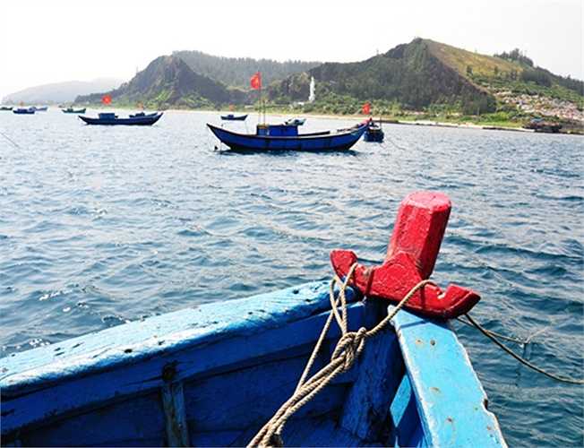 Tháng 5, mùa biển cạn. Từ lúc sáng sớm, hàng trăm ngư dân tất bật ra khơi hành nghề lặn bắt ốc xà cừ ở vùng biển đảo Lý Sơn, cách bờ khoảng 2 hải lý. 