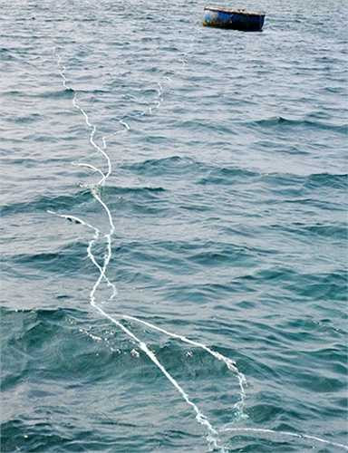 Theo ông Hai, hàng ngày ngư dân nơi đây ra biển lặn bắt ốc xà cừ từ sáng sớm đến 16h chiều thì trở về bến bán sản phẩm. Buổi trưa họ ngoi lên mặt biển lên tàu ăn cơm, nghỉ ngơi khoảng một giờ, sau đó tiếp tục làm việc. 