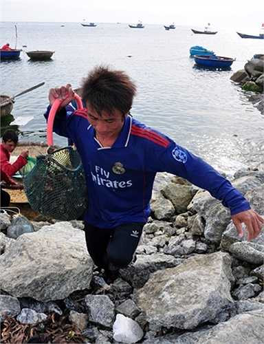 Ngư dân Nguyễn Văn Hùng (ngụ xã An Vĩnh) nhẩm tính, ít nhất mỗi ngày có 5 tấn ốc xà cừ và một số loại ốc, thủy sản khác do ngư dân Lý Sơn khai thác bán cho thương lái. 'Nghề lặn bắt ốc xà cừ dù cơ cực, nhọc nhằn nhưng bù lại có thu nhập khá cao, tối về nhà được gần vợ, con', anh nói. 