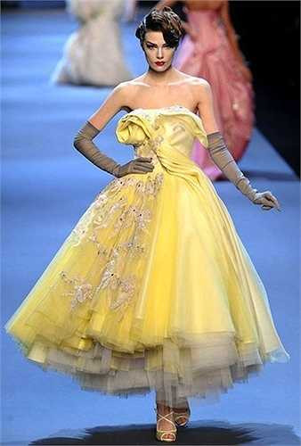 Trang phục này cũng có sự tương đồng với thiết kế Dior Haute Couture 2011. 