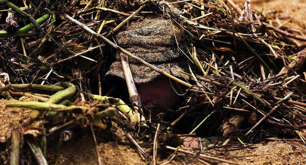 Khả năng ngụy trang của binh sỹ sẽ tăng lên nhiều lần nếu được trang bị áo tàng hình