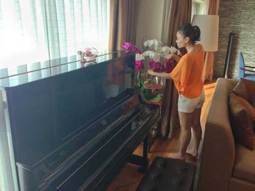 sao việt thuê nhà