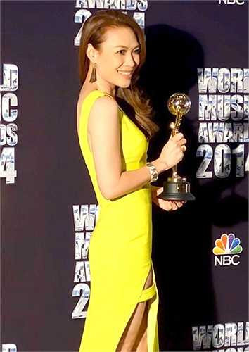 Đứng trên đỉnh cao sự nghiệp với những thành công lớn trên con đường ca hát, Mỹ Tâm tích góp được khối tài sản đồ sộ.