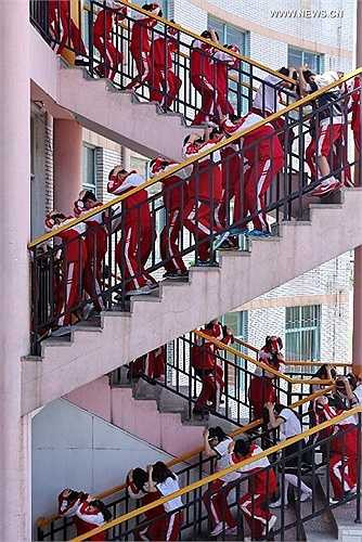 Những bức ảnh được chụp ngày 12/5, thu hút hơn 1.700 giáo viên và học sinh tại nhiều trường học tham gia.