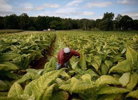 5 lĩnh vực thương mại sẽ thúc đẩy nền kinh tế Cuba