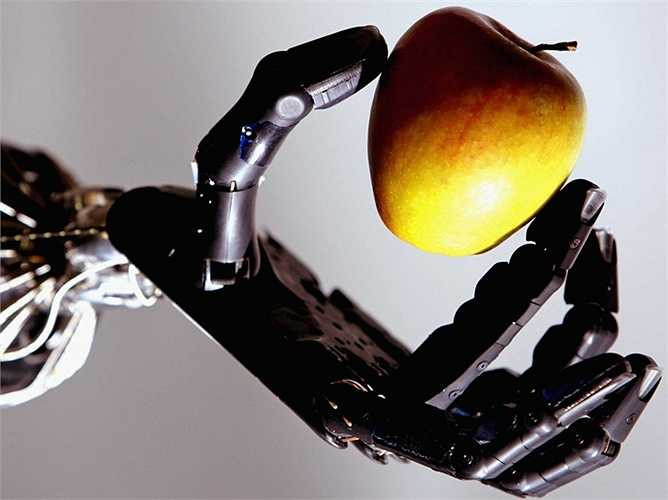 Phân tích tài chính: Các nhà phân tích chứng khoán sẽ phải cạnh tranh với những con robot thông minh khi chúng có thể phân tích và dự đoán các hành vi của các khoản đầu tư. Dịch vụ tự động 'Robo-cố vấn' đang gia tăng và bắt đầu thay thế các cố vấn tài chính.