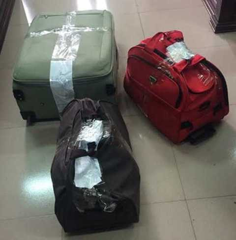 31 chiếc sừng tê giác được cất dấu trong các túi du lịch