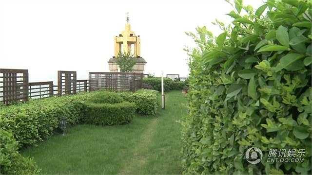 Ông xã của Trương Đình là nam tài tử Lâm Thụy Dương, vốn là một 'nam thần' dòng phim thần tượng Đài Loan. Ông cũng kinh doanh bất động sản và đã trở thành một đại gia nhà đất nổi tiếng khắp Trung Quốc đại lục. Tài sản của gia Lâm Thụy Dương khoảng 30 tỉ NDT (106 nghìn tỉ đồng). 