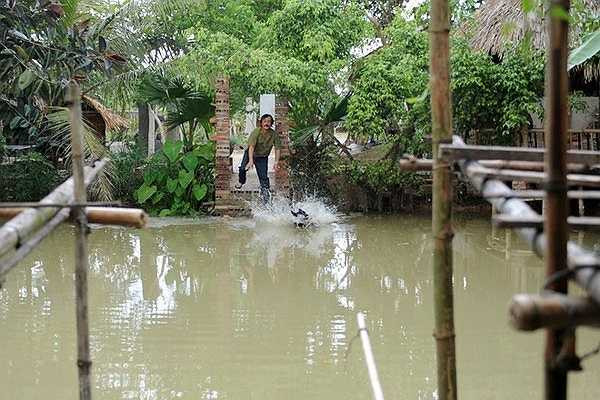 Giang Còi chia sẻ, anh rất thích nuôi chó vì đó là loài động vật sống tình cảm và trung thành. Trước đây, anh nuôi 5 con nhưng do bận rộn, anh phải cho đi 3 con và chỉ giữ lại 2 con để chăm sóc. Hàng ngày, nam diễn viên thường dành thời gian vui đùa với những con vật này trong chiếc ao sau nhà.