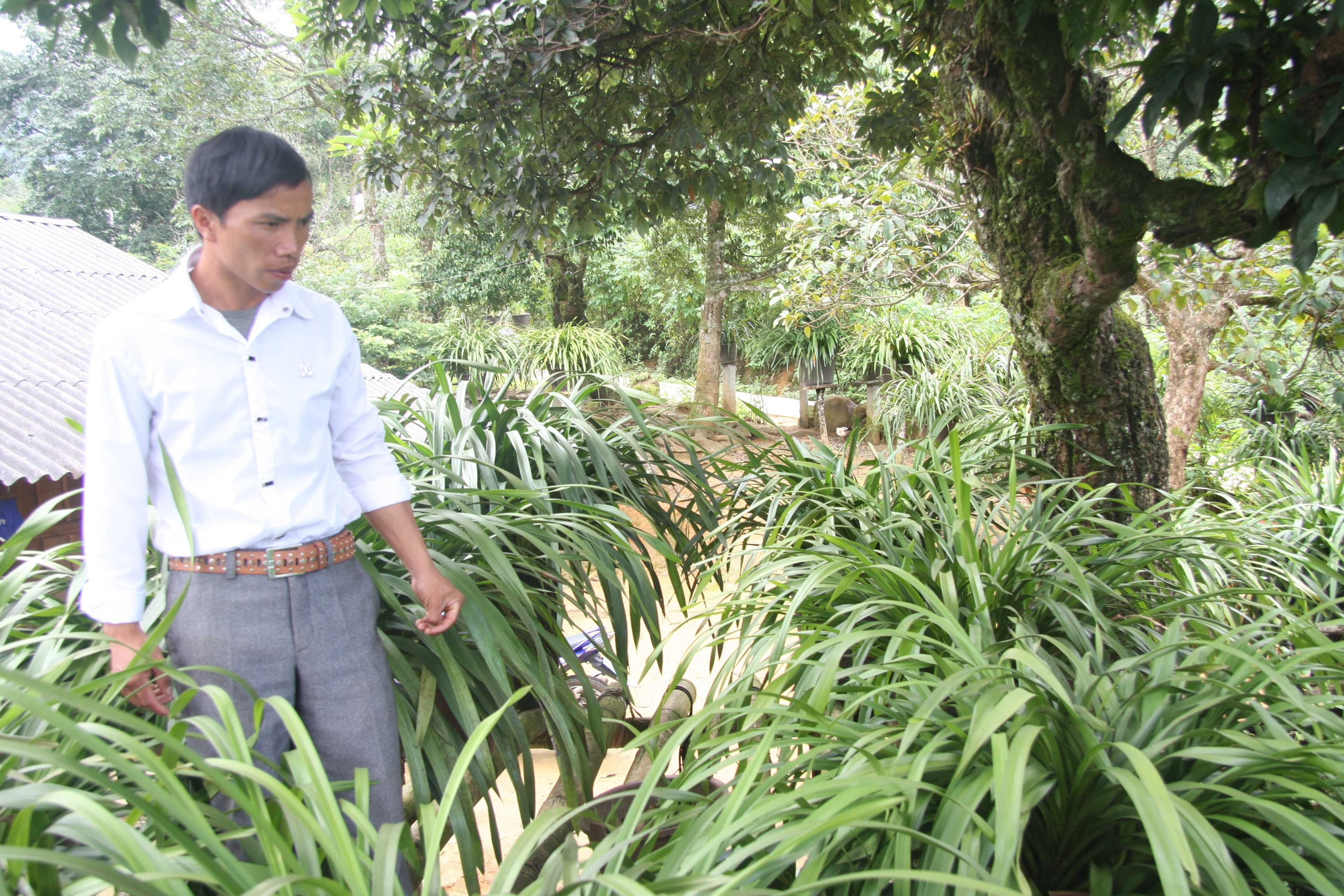 Dân mạnh thì biên vững