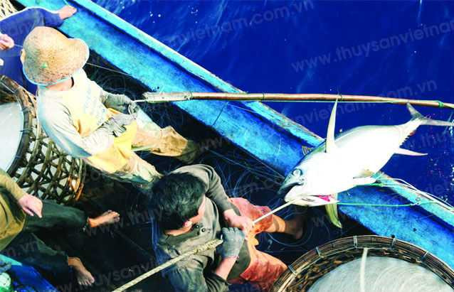 Trung Quốc ngang ngược cấm biển: Ngư dân Việt vẫn cứ đánh bắt bình thường