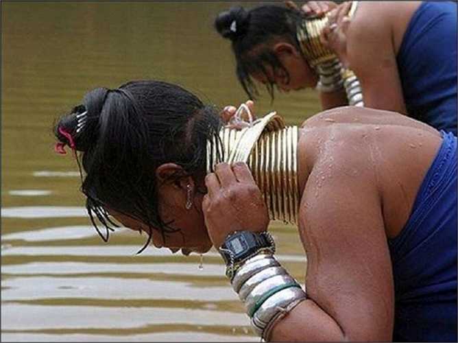 6. Cổ dài nhất thế giới. Những người phụ nữ bộ tộc Kayan ở Myanmar và Thái Lan luôn phải đeo những chiếc vòng nặng trĩu trên cổ khi đến tuổi trưởng thành và chiếc cổ của họ dài ra trong quá trình này đến nỗi mà họ không dám bỏ vòng do lo sợ gãy cổ