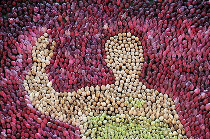 Thượng tọa Thích Thọ Lạc, Tru trì chủa Đại Tuệ cho biết, ý tưởng thực hiện bức tranh chân dung Chủ tịch Hồ Chí Minh bằng hoa sen đã được ông và các phật tử ấp ủ từ lâu. (Nguồn: Vietnamnet)